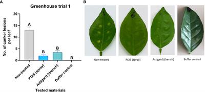 New antimicrobials and plant defense inducers for managing citrus canker disease